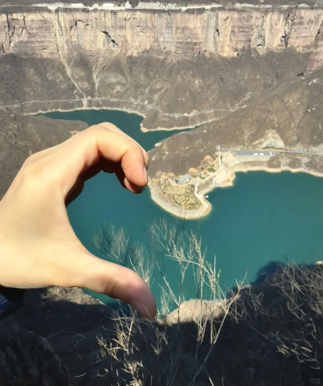 去宝泉，过来人的真建议‼️能救一个是一个‼️