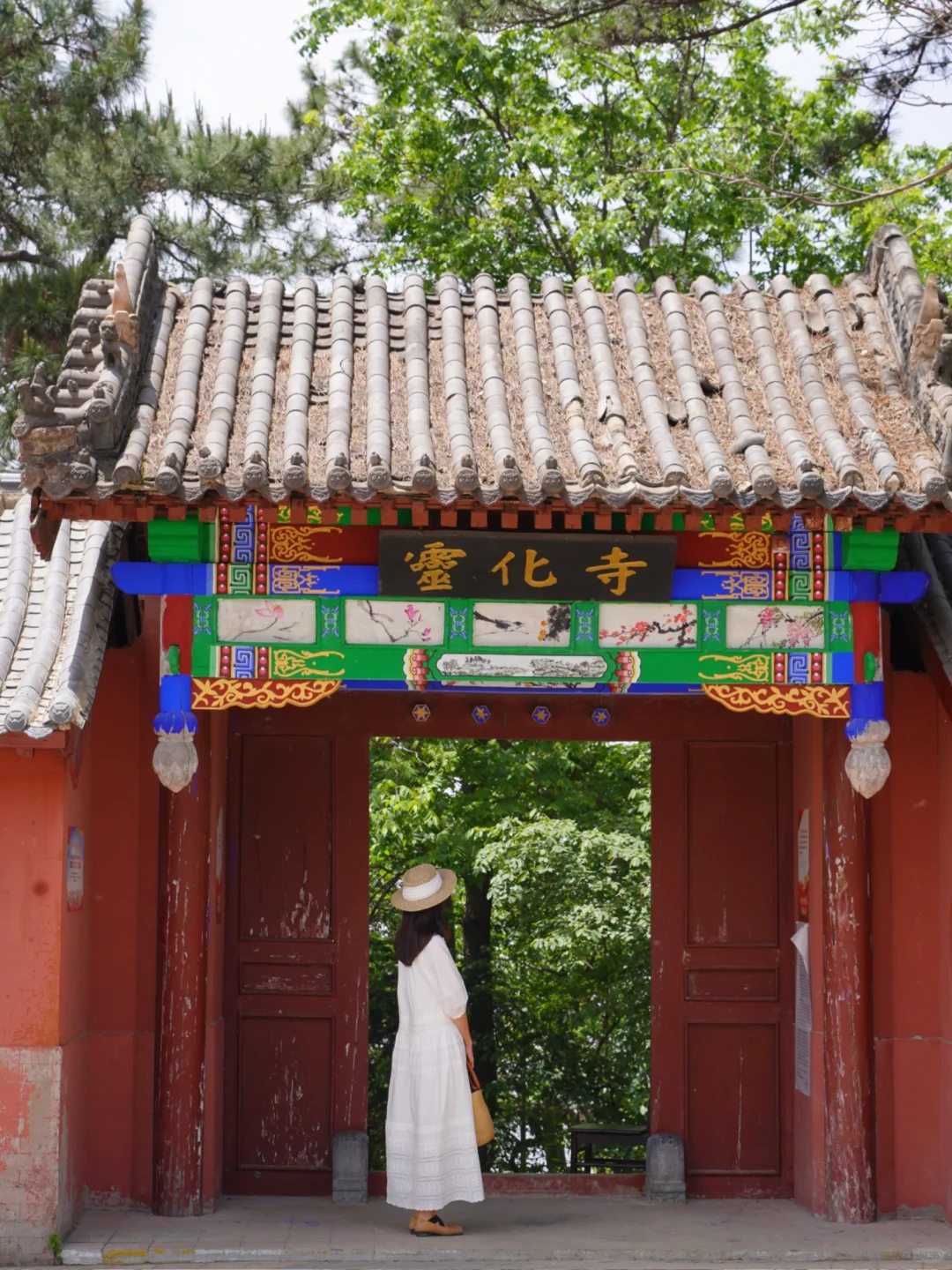 信阳❗️你还有多少惊喜是我不知道的😭附攻略