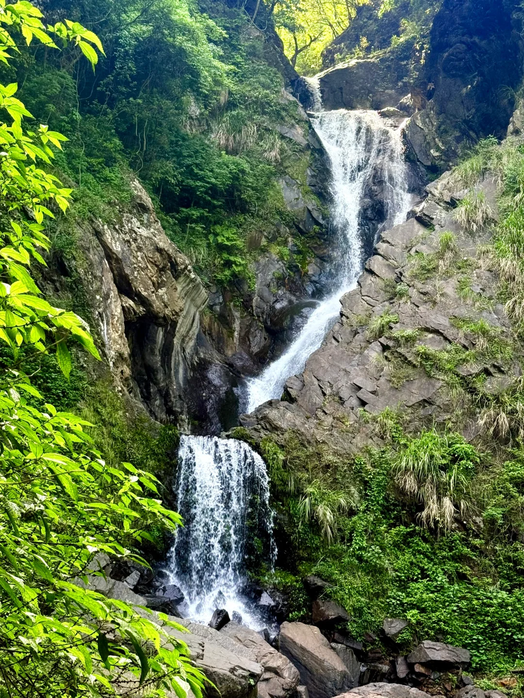 能劝一个是一个！避雷石台牯牛降‼️