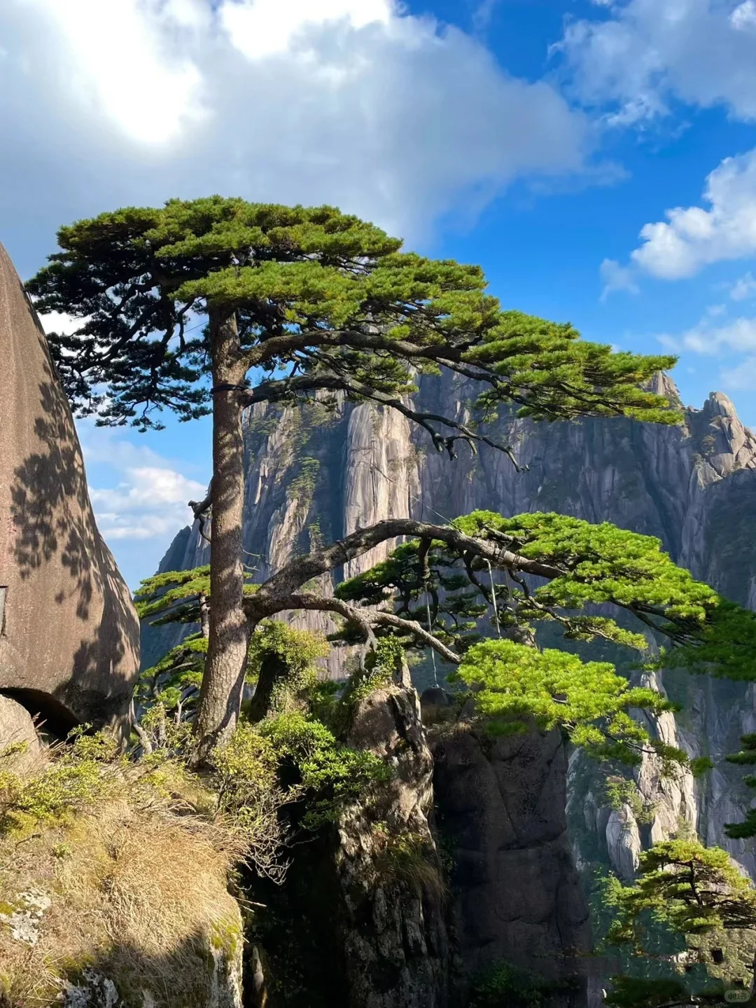 五一反向遛娃，被低估1w次的宝藏小城