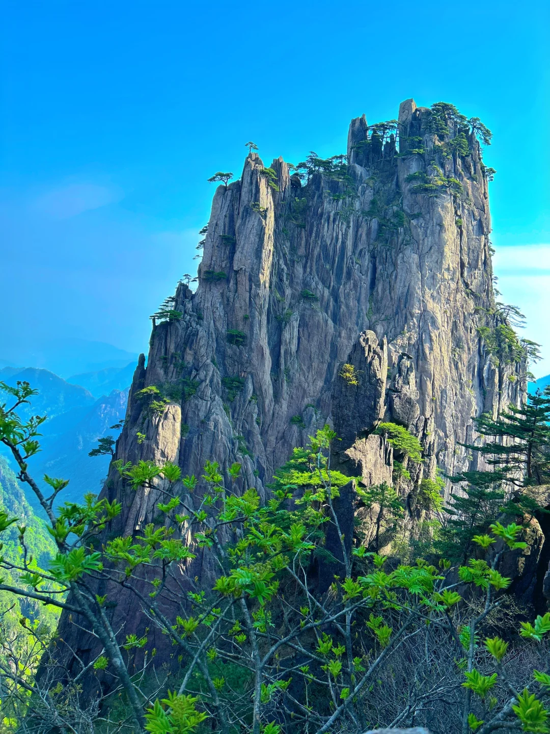 还在犹豫黄山值不值得去？看完你就明白了