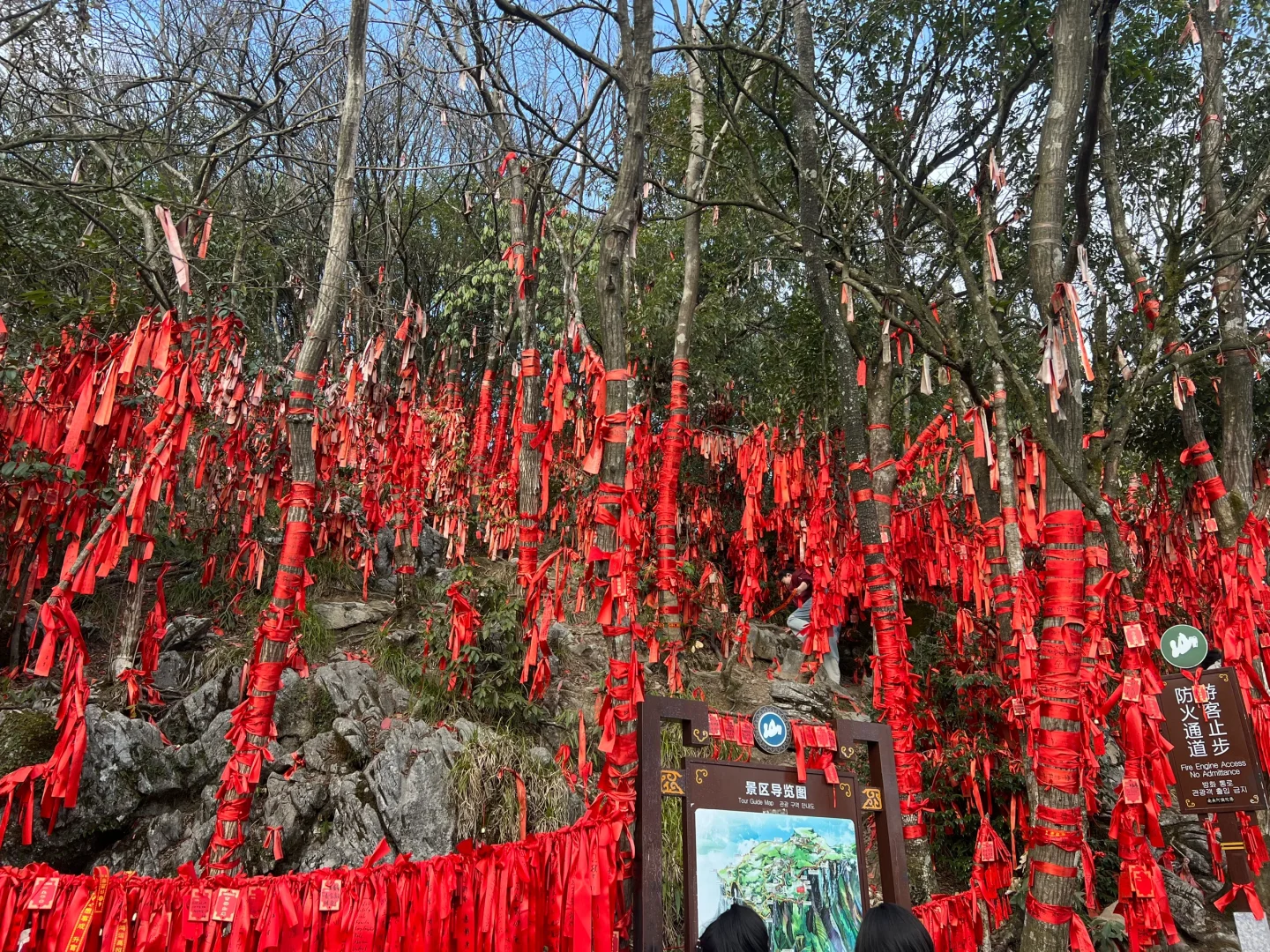 来天门山感觉像去了韩国🇰🇷