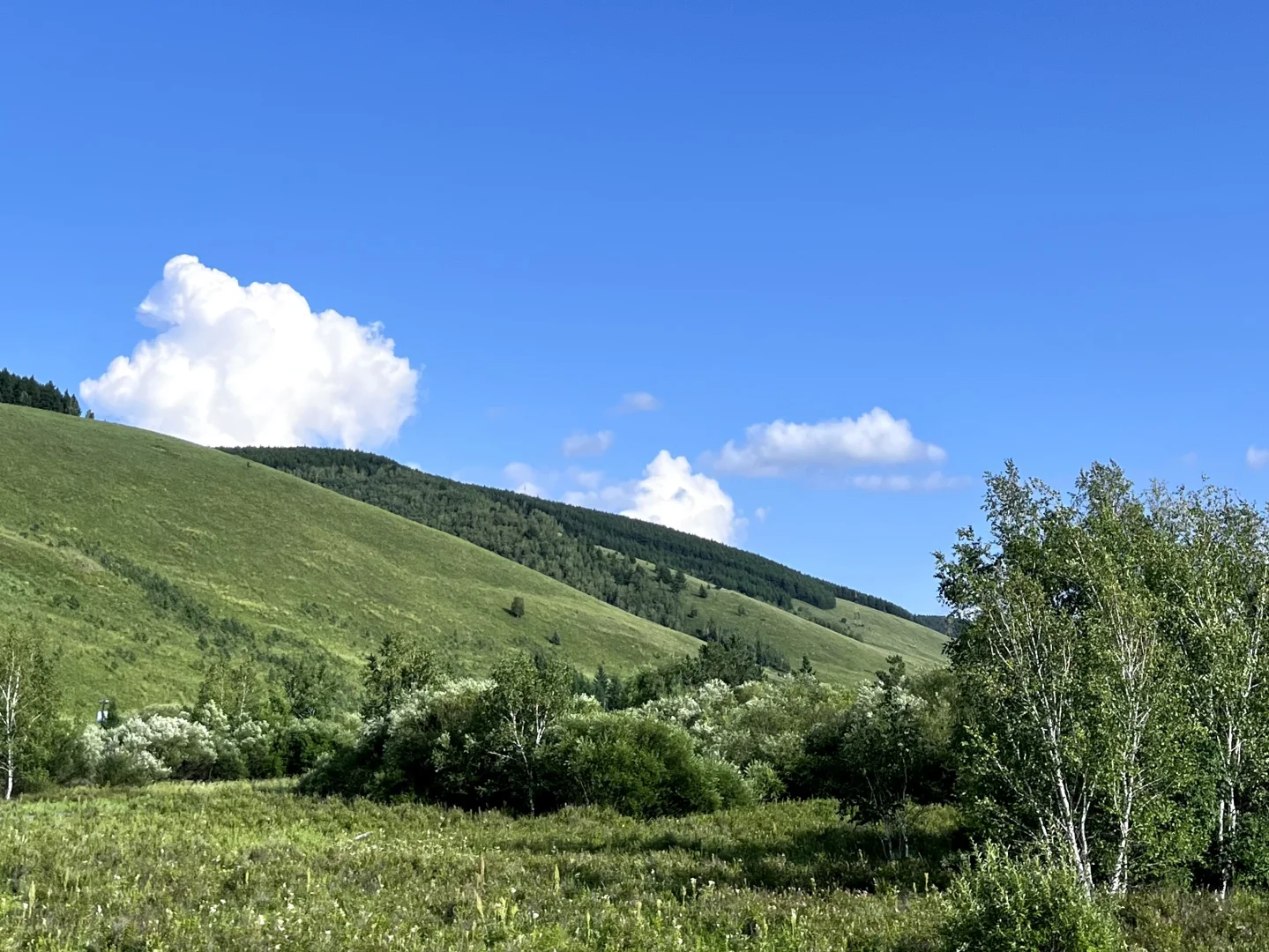 人生建议 一定要去一次大兴安岭📸（内附攻略