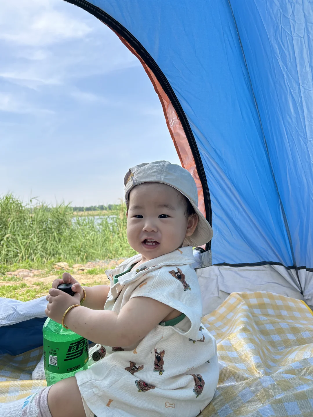 又一个去露营的理由✔️