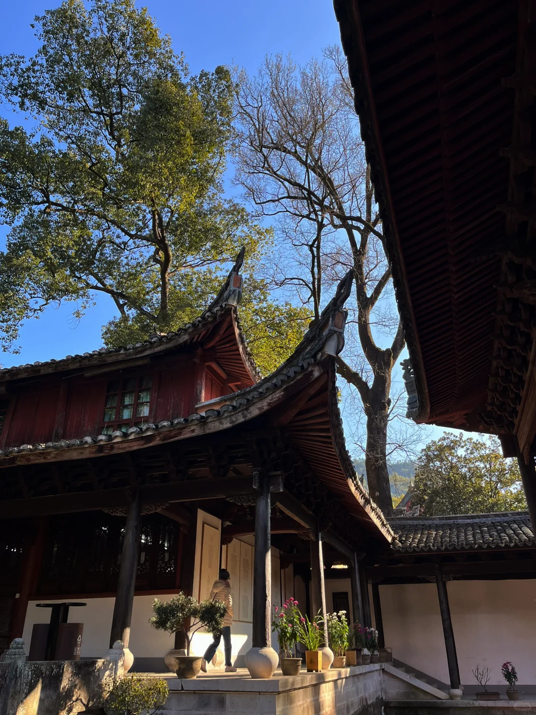 佛门清净地——天台山国清寺景区