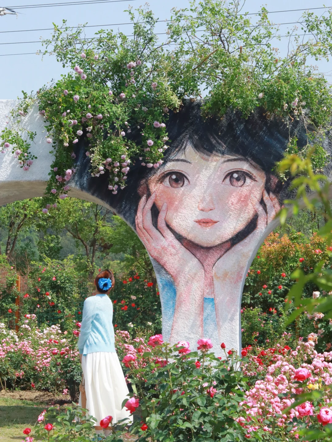 5月19——25日🔥无锡全市半价景区汇总版✅