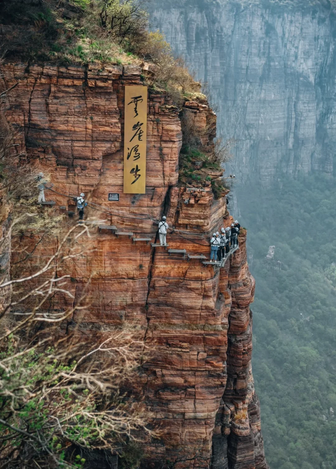 去宝泉，过来人的真建议‼️能救一个是一个‼️