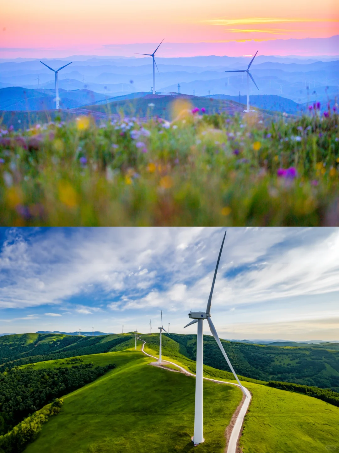 端午去坝上！3h开进22℃的云端草原🌿