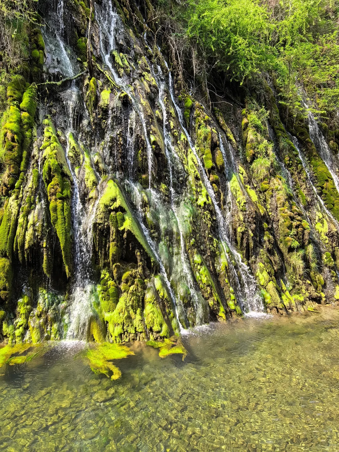西安2h|不愧是小江南❗️没人能拒绝全攻略