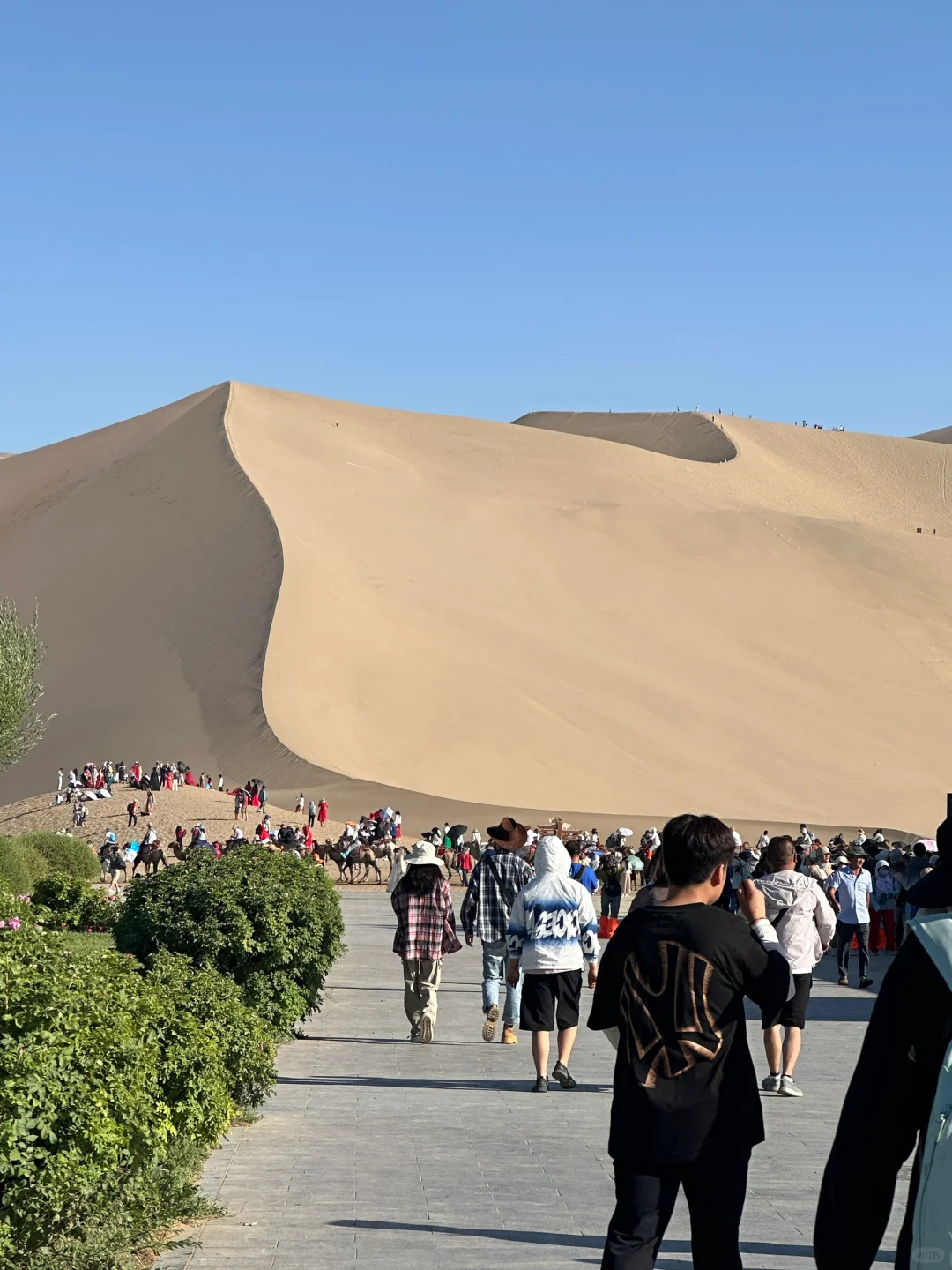 为什么很多景区都不能直达了