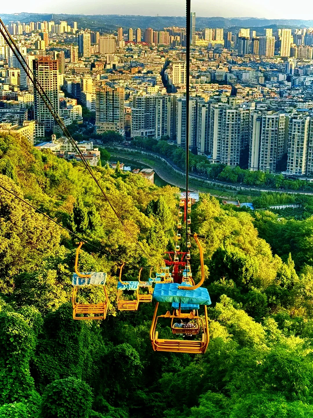 景区引流新密码！低空缆车厂家揭秘爆火真相