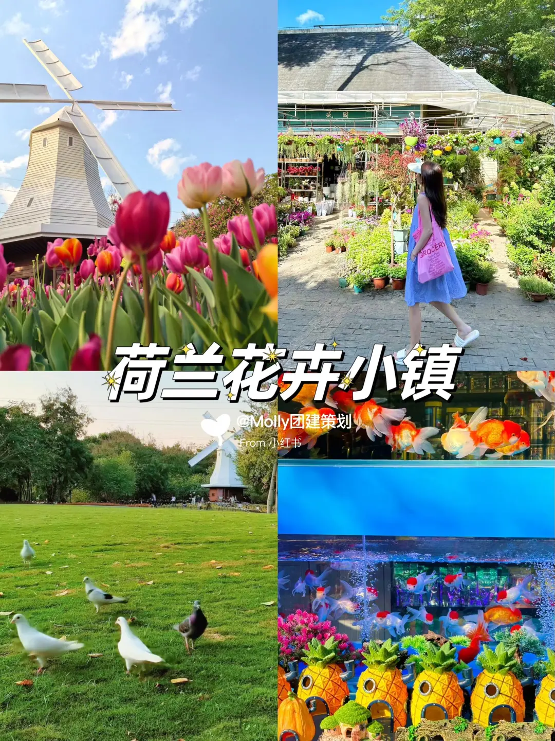 深圳周末去哪儿 | 必打卡的11个宝藏景点