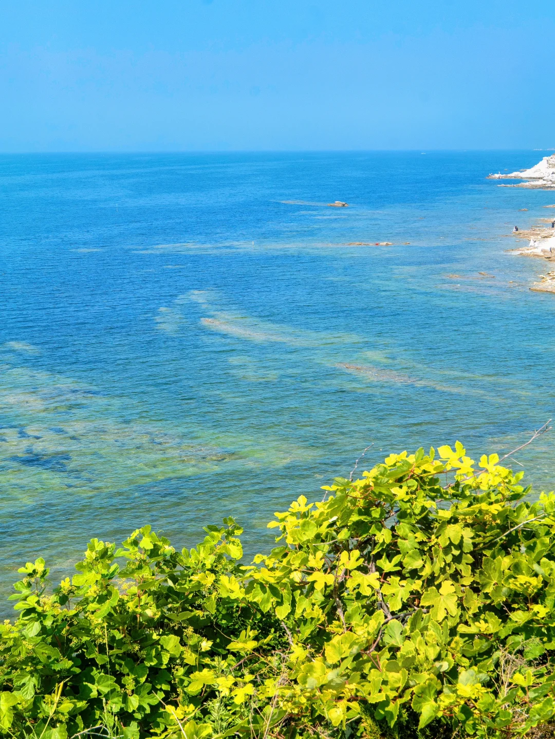 以为威海够美了，直到我去了烟台🌊🌊