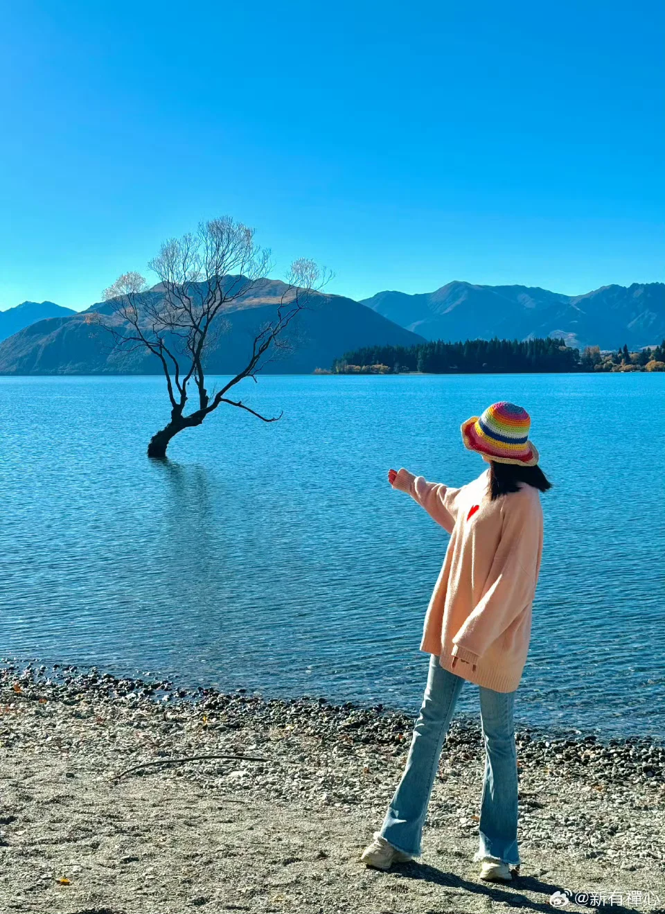 强烈推荐我报的新西兰小团（和爸妈一起）