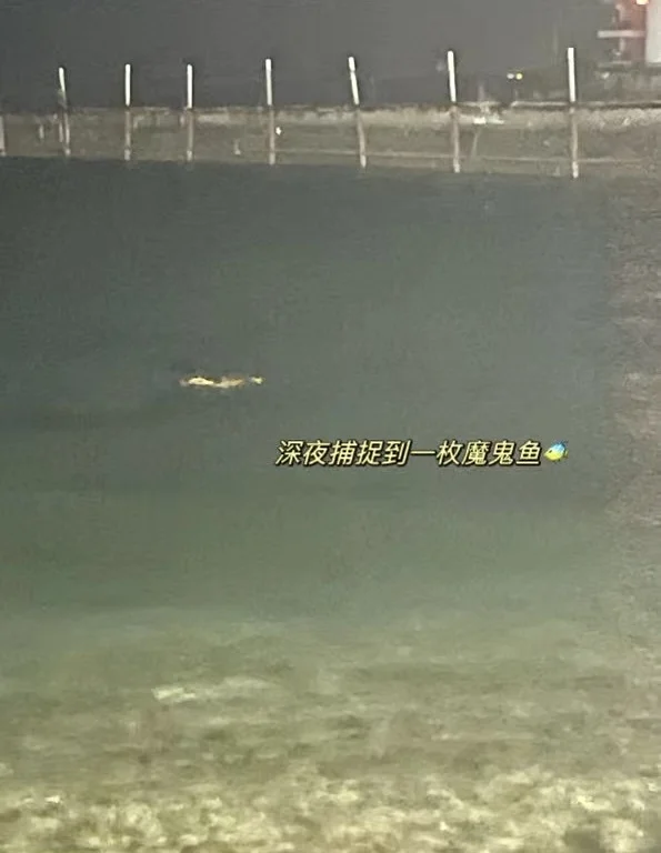 海南旅游攻略（三）陵水分界洲岛🛖