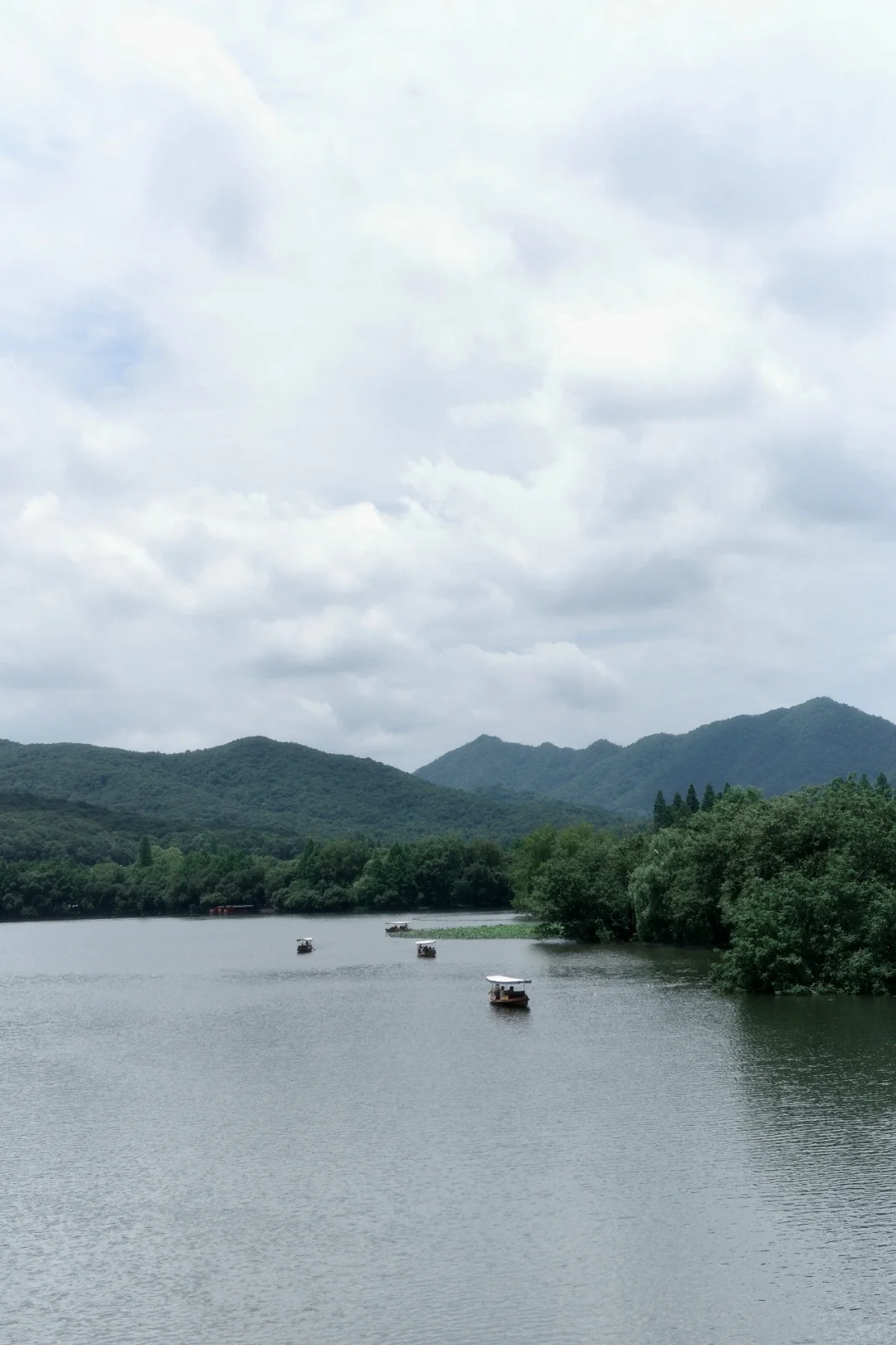 周末|需要点静谧与绿意🍃