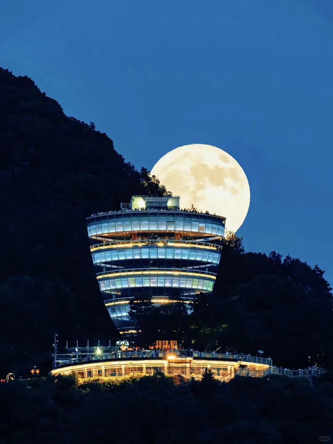 山城的浪漫永不停歇🌹