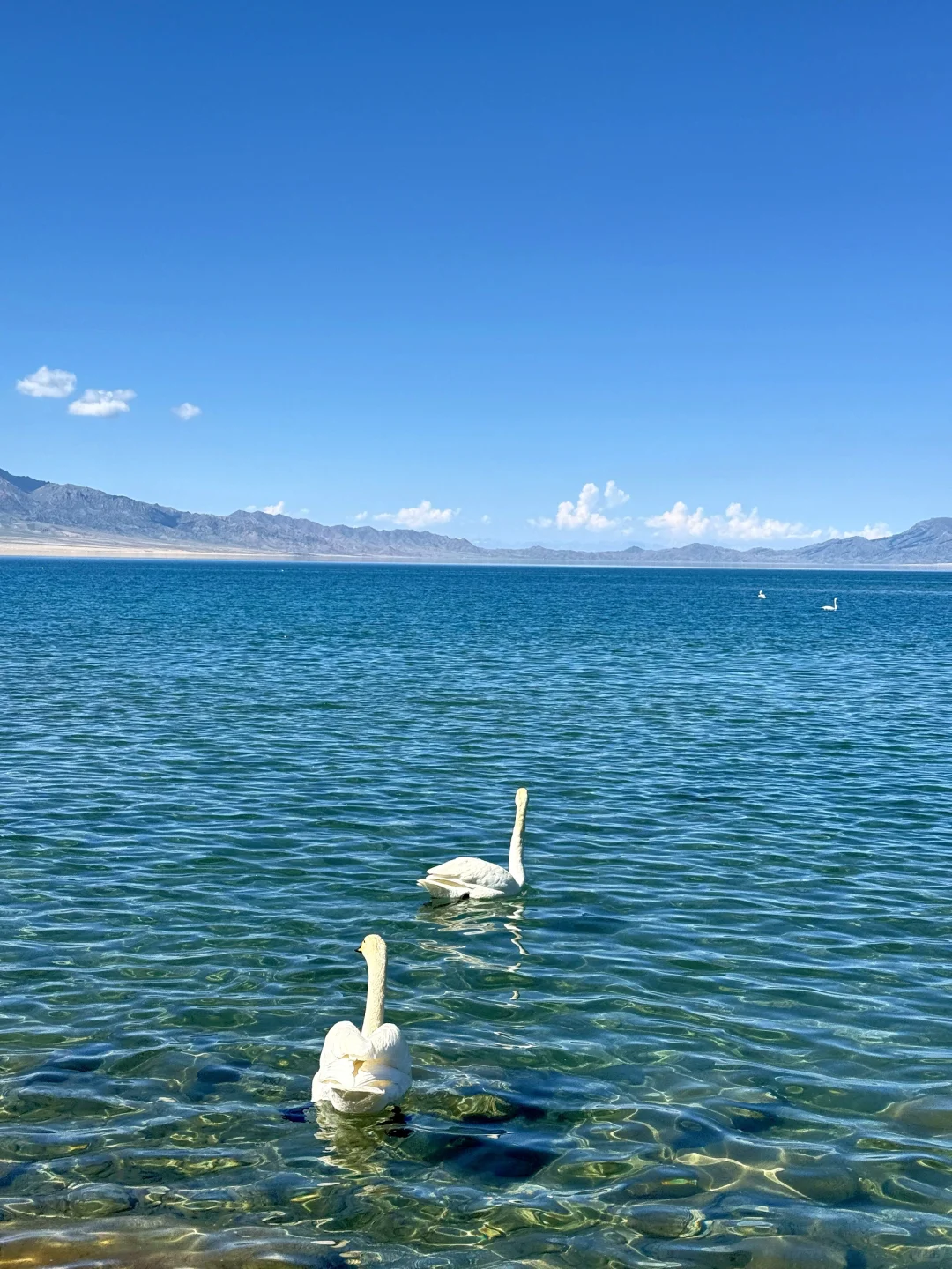 赛里木湖蓝🩵