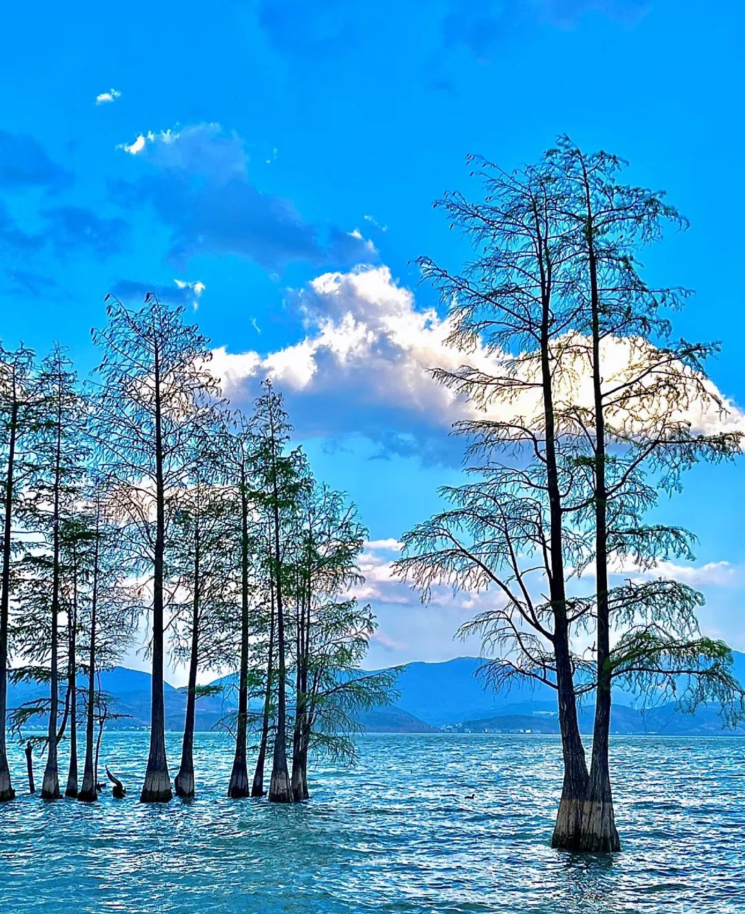 大理海畔梦幻之旅 | 超全旅游攻略✨