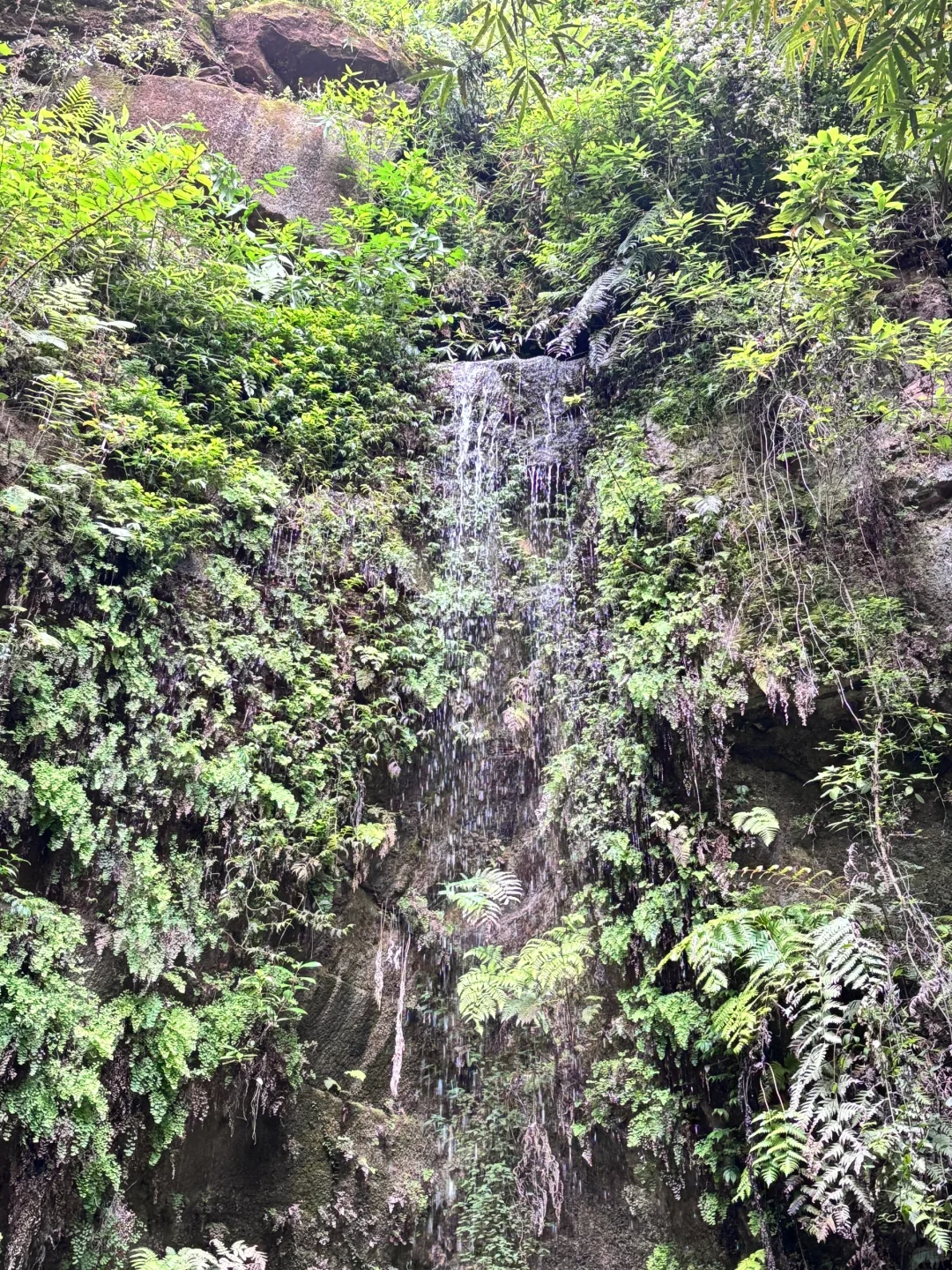 川西竹海大避雷