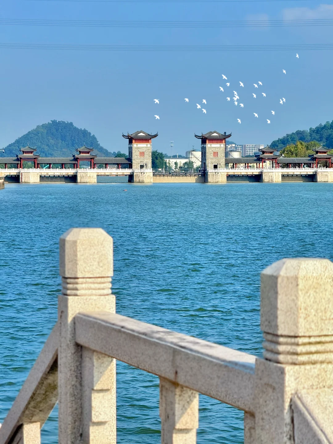 广州地铁直达……是我疲惫生活里的解药🌊