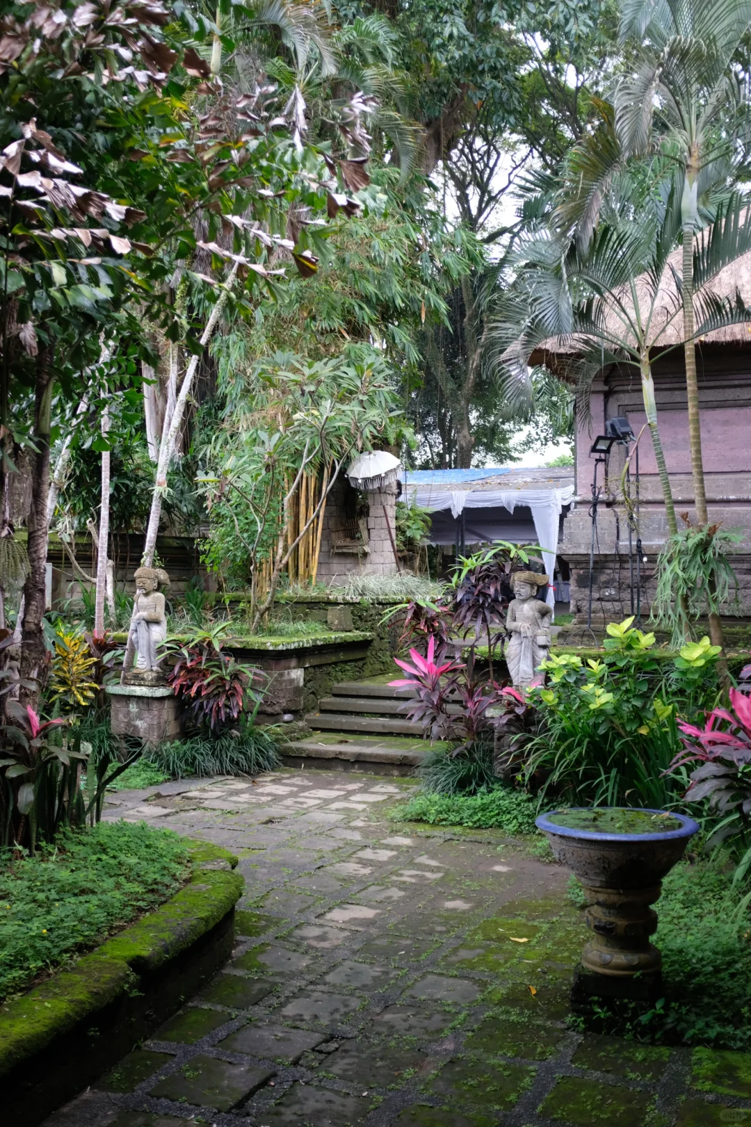 過期旅行日常•ɪɴ Bᴀʟɪ