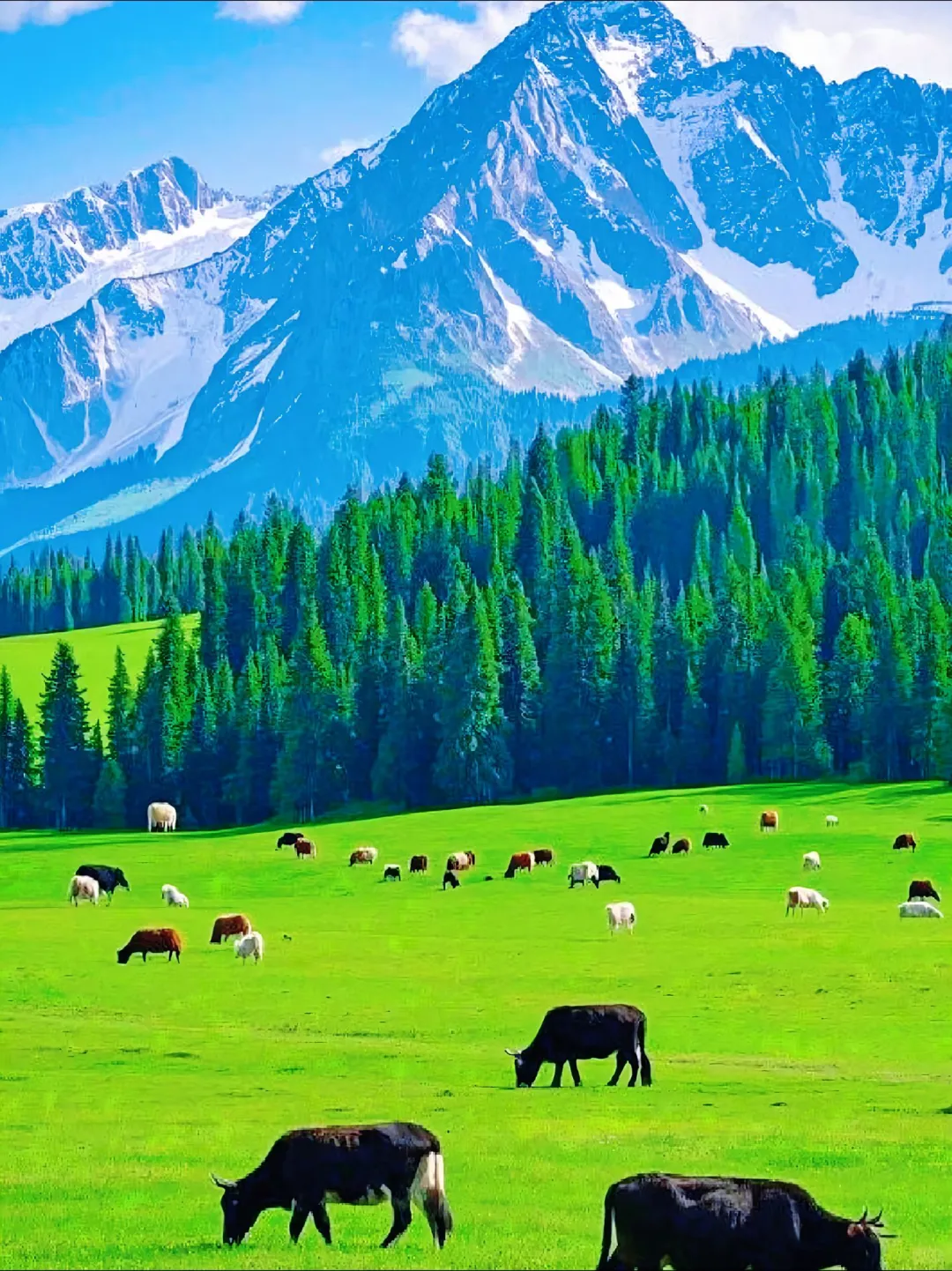 中国最顶级的十五旅游景点”