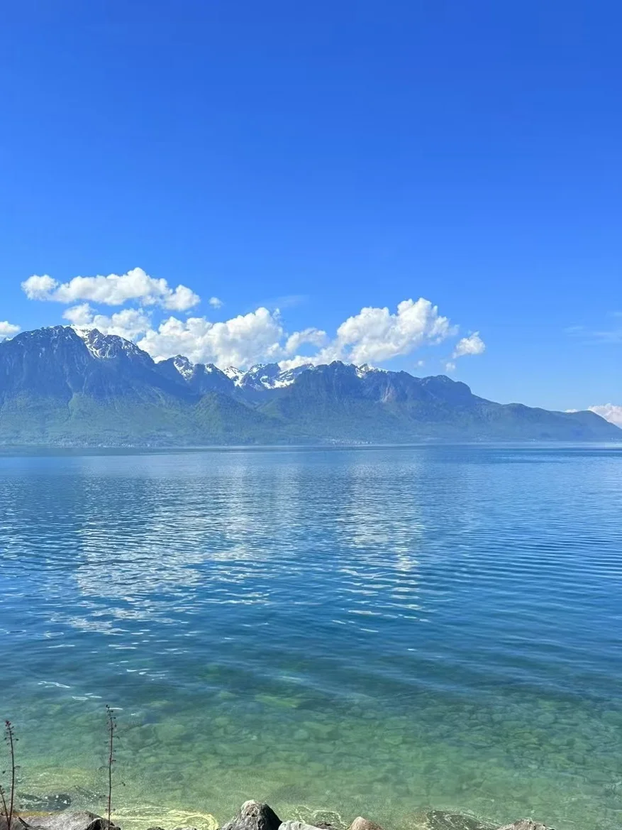 法意瑞已回…😭奔溃了别再听小红书乱说了