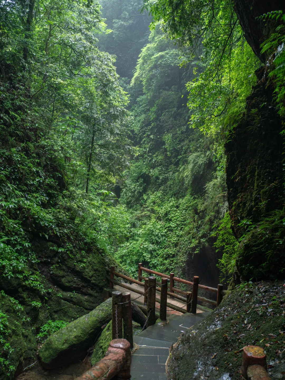 真不是游戏场景,我找到了现实版仙侠世界🌲