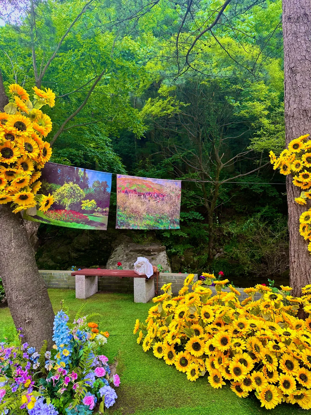 不是荷兰🇳🇱是河南!好美好浪漫啊啊啊!!!