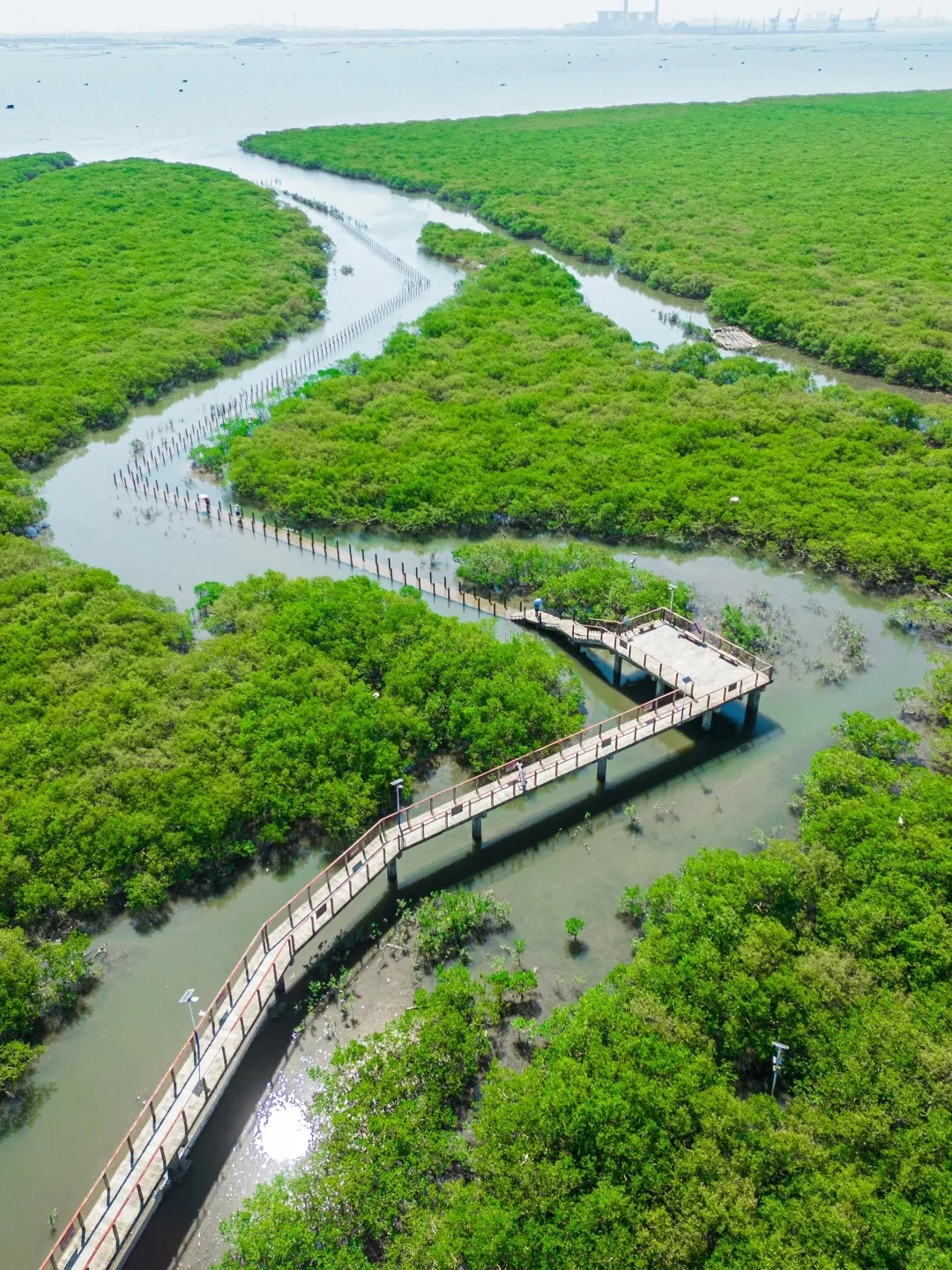 暑假和老公去了崇左，真的比新西兰还震撼！