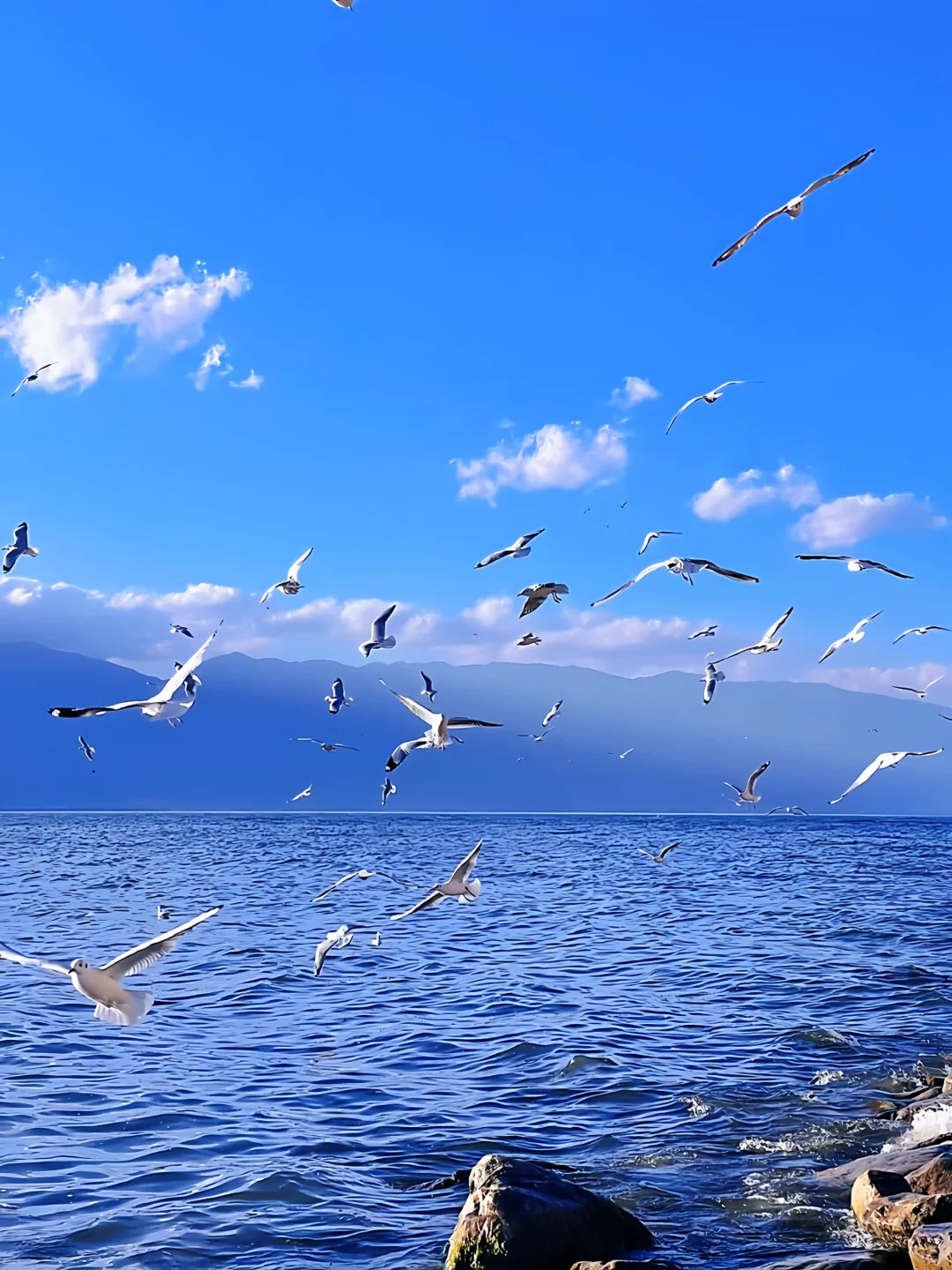 大理海畔梦幻之旅 | 超全旅游攻略✨