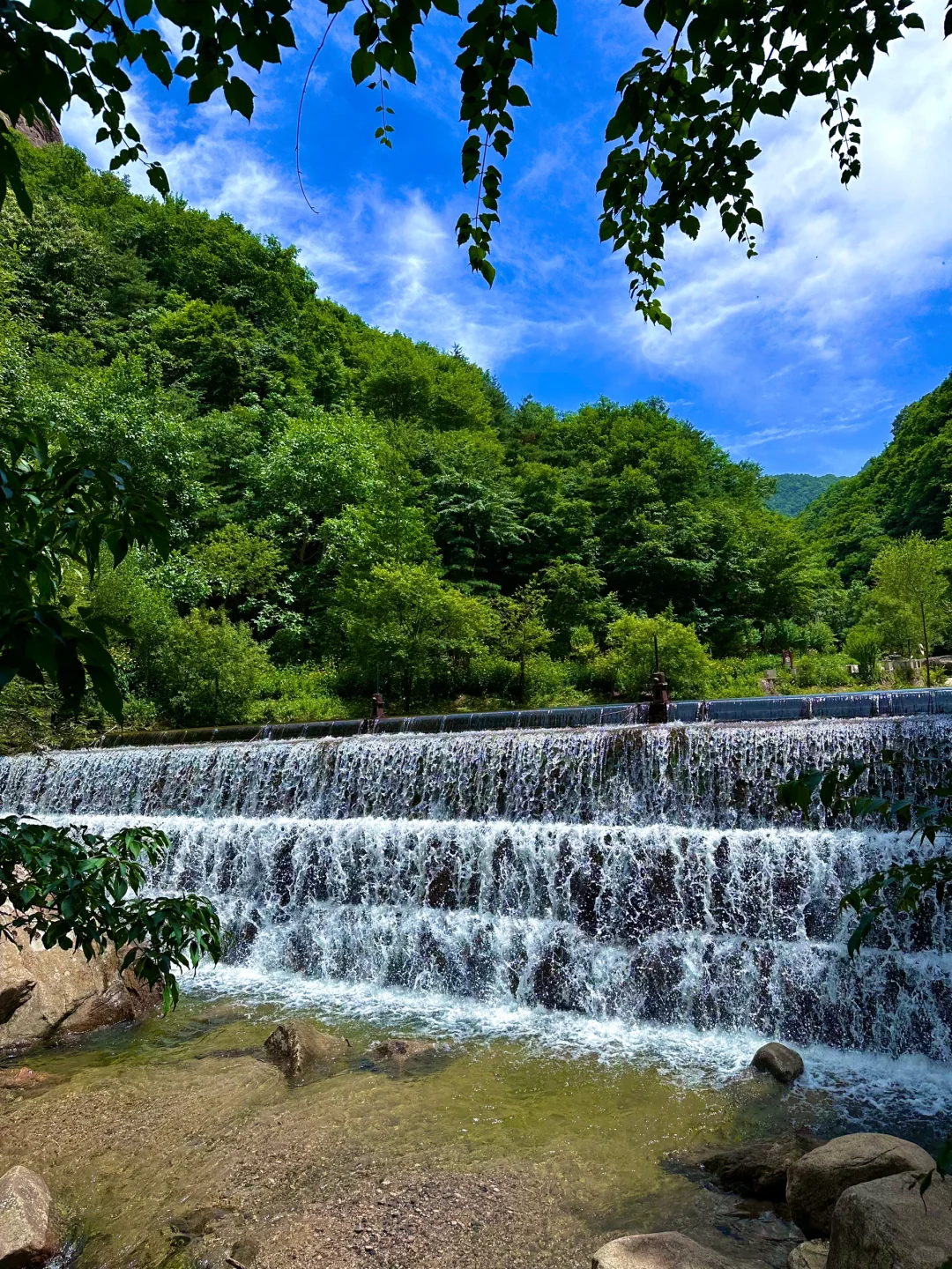 不是荷兰🇳🇱是河南!好美好浪漫啊啊啊!!!