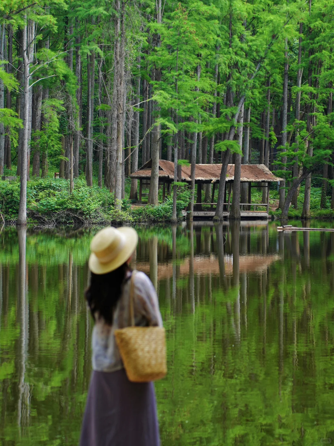 不是国外，是河南被严重低估的宝藏小城！