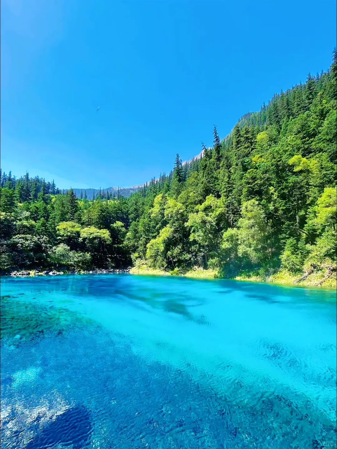 中国最顶级的十五旅游景点”