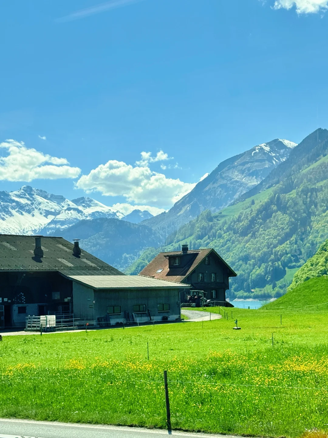 法意瑞已回…😭奔溃了别再听小红书乱说了