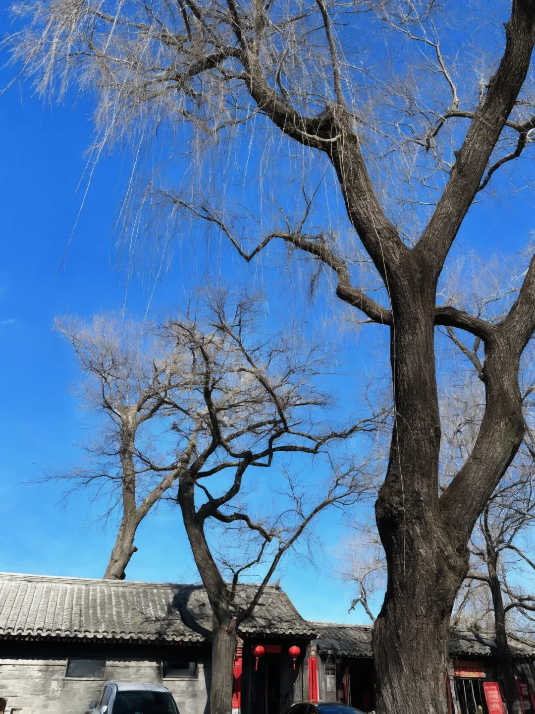 北京已回，端午去不做攻略真的会哭！！