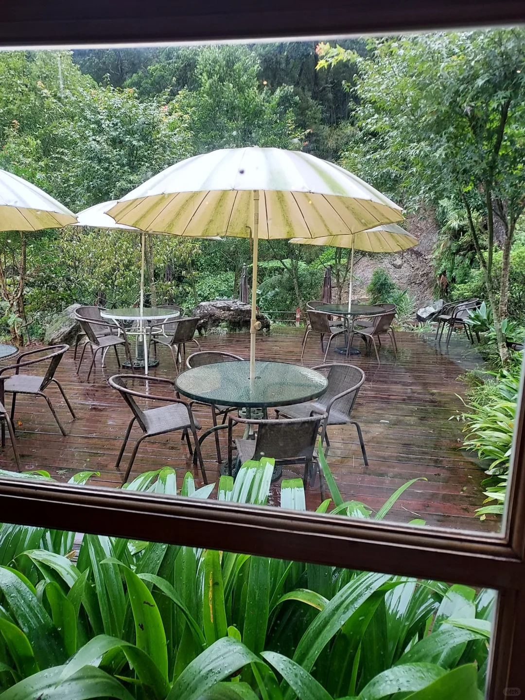 苗栗三義、漫步雲端