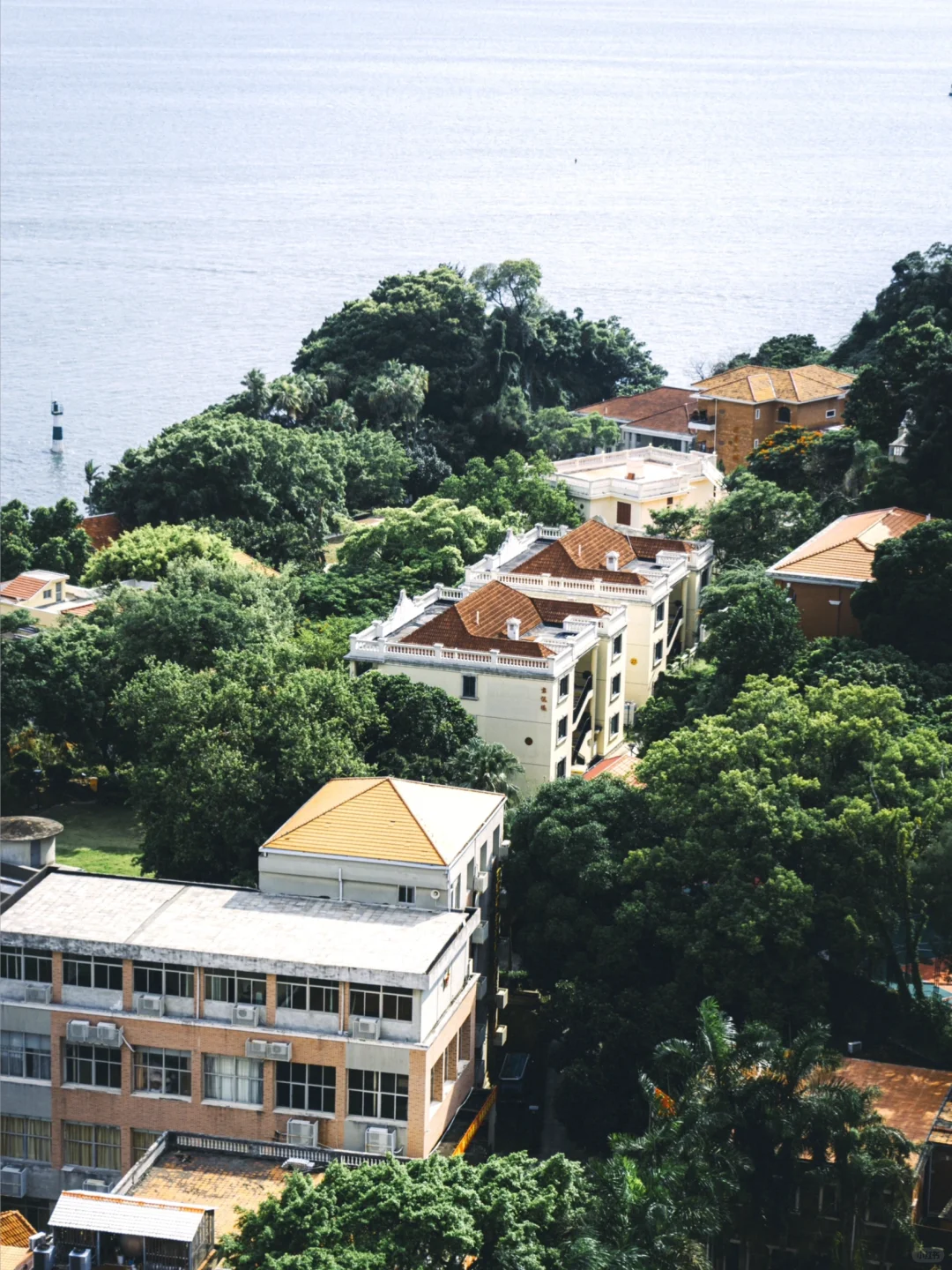 厦门旅游|鼓浪屿保姆级Citywalk路线