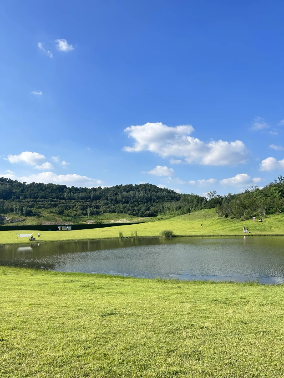 被《国家地理》评为中国最美的公路有多绝‼️