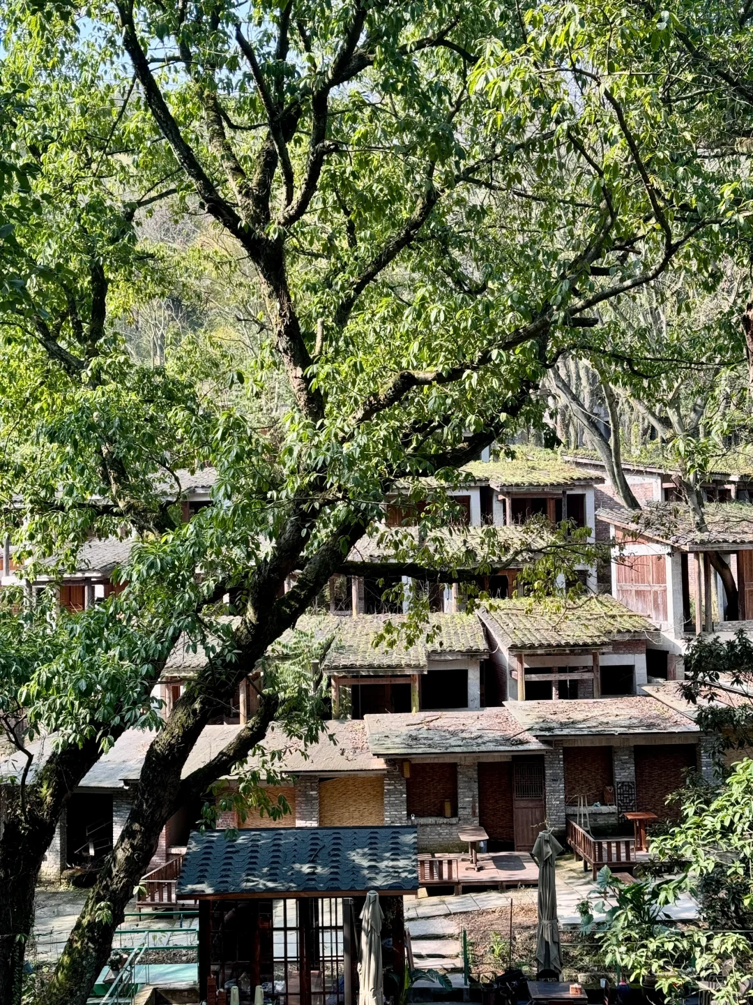 不是大理！！是重庆！！重庆！！治愈力+10000