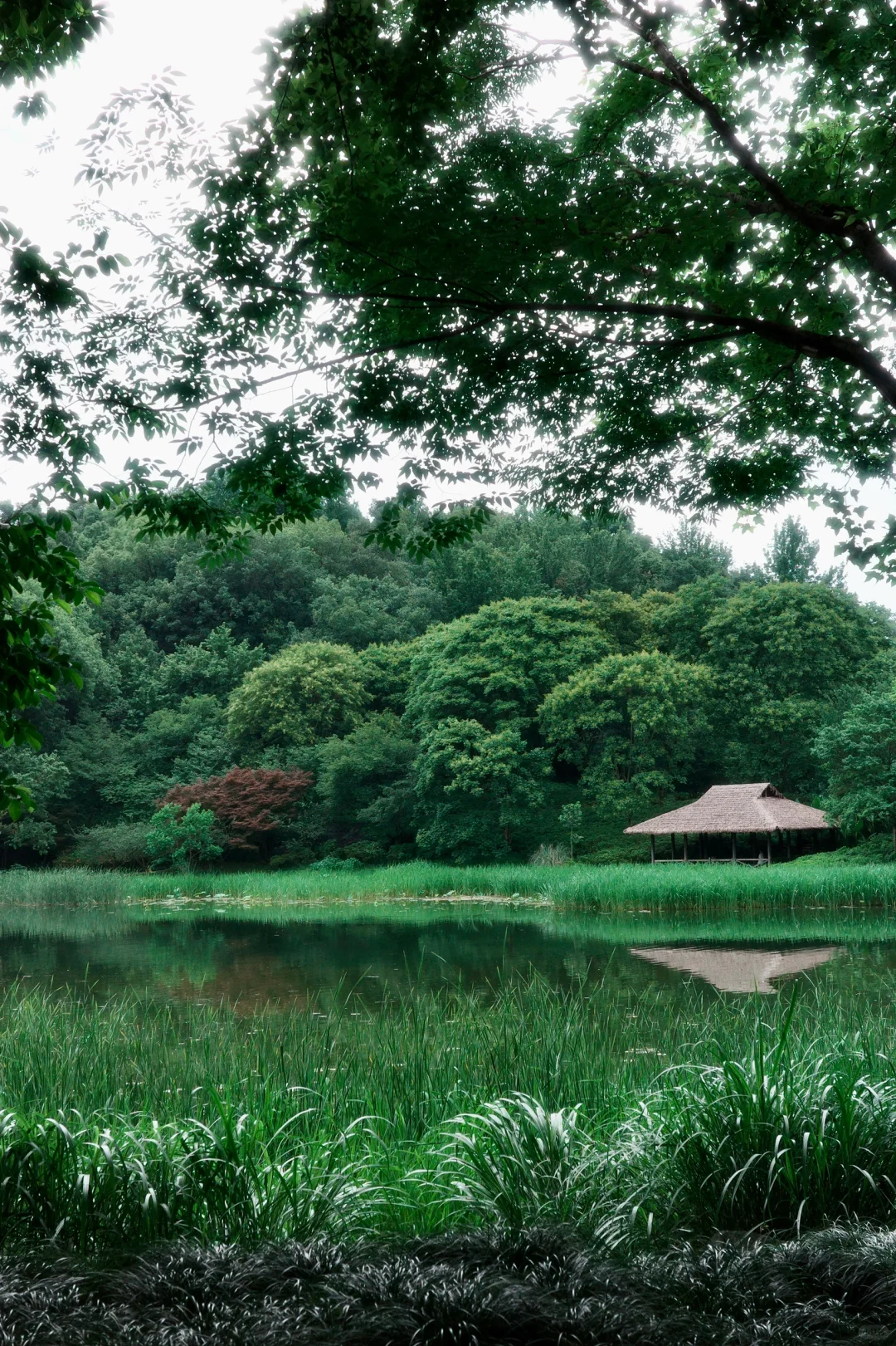 周末|需要点静谧与绿意🍃