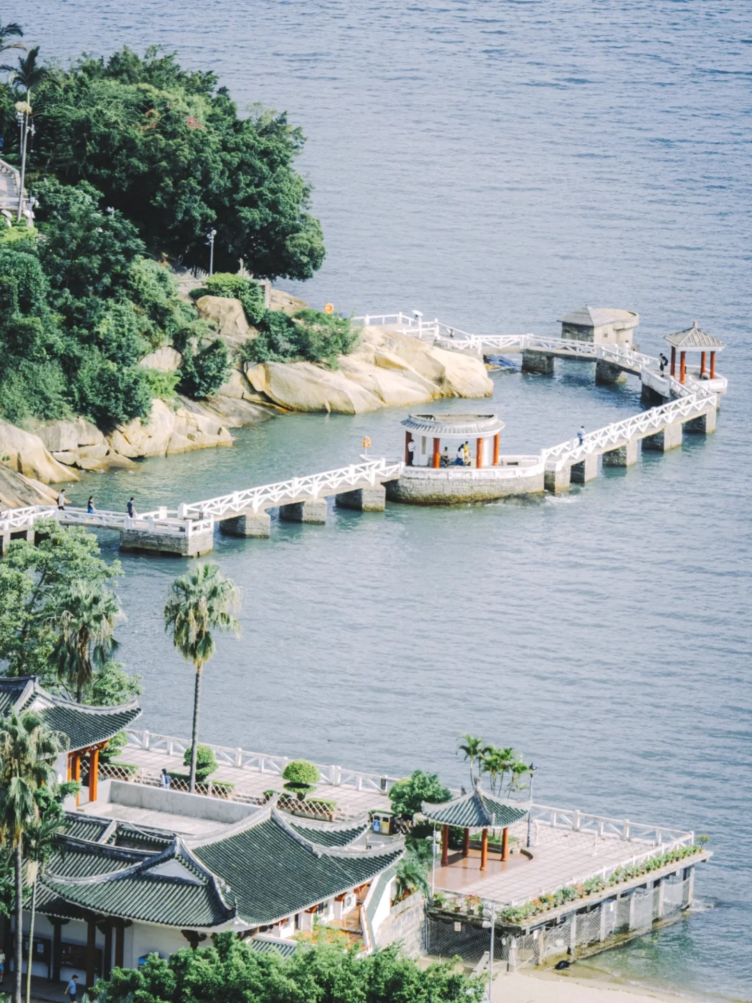 厦门旅游|鼓浪屿保姆级Citywalk路线