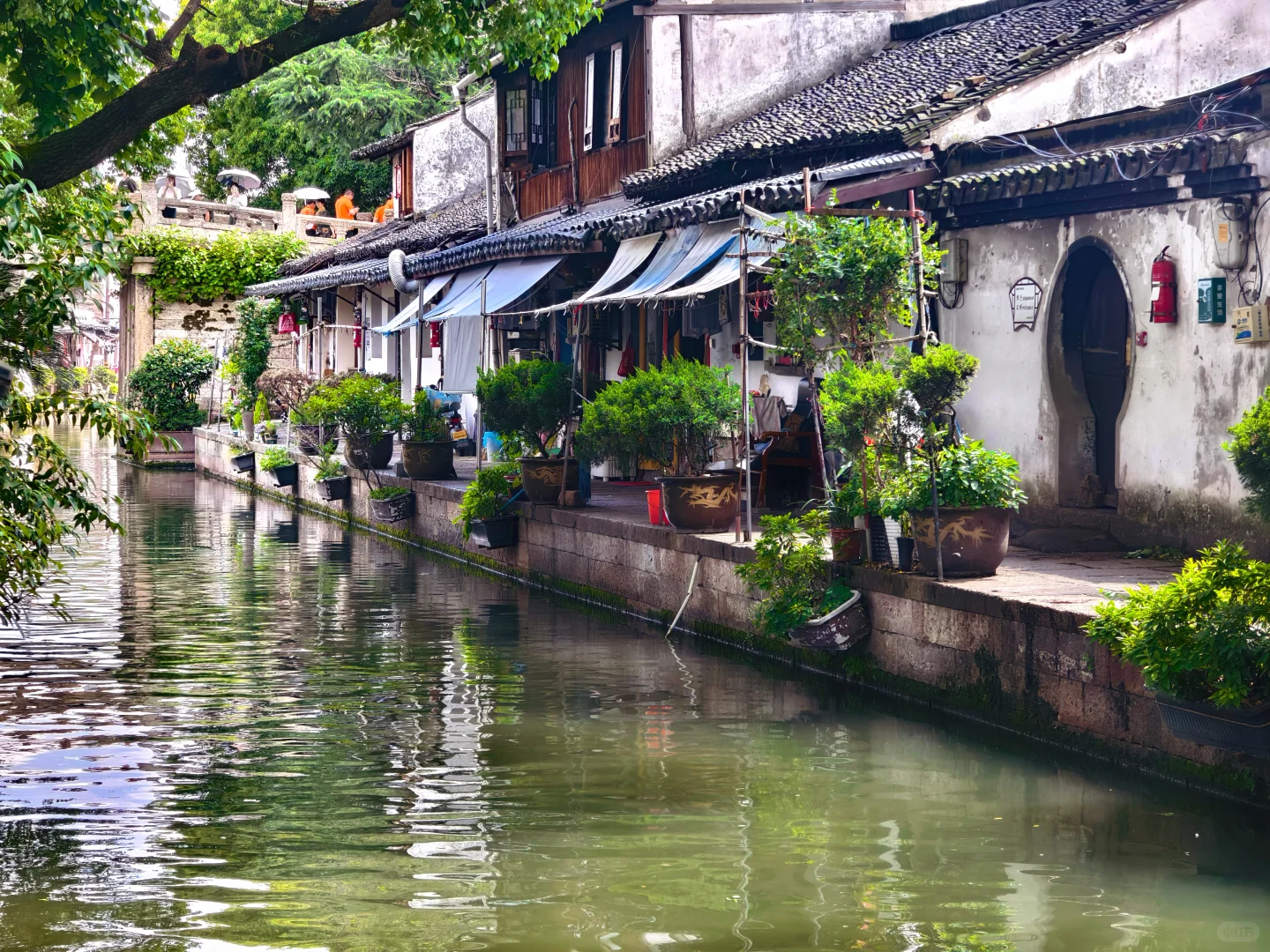 理想中江南的样子 绍兴都有😍