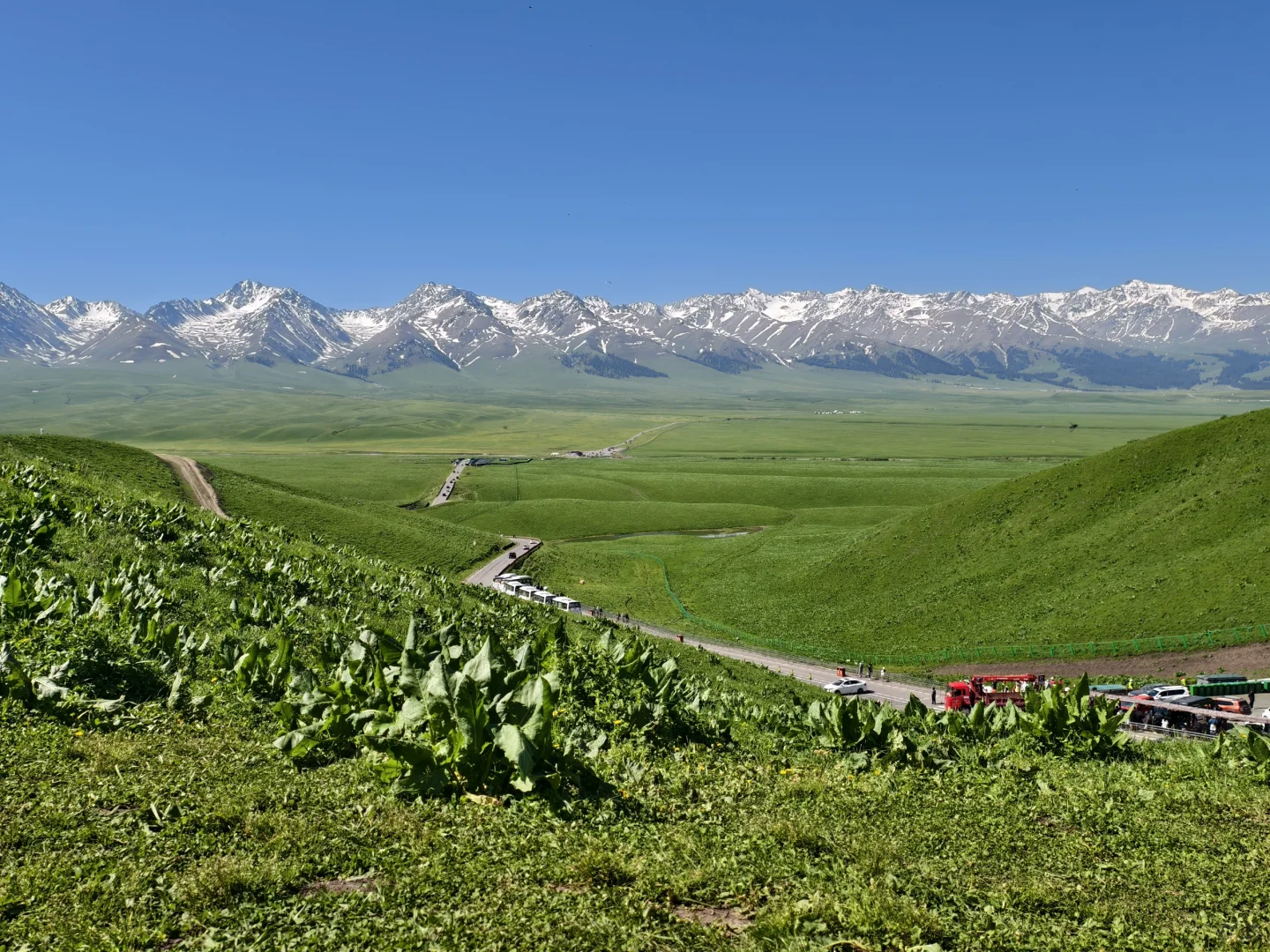 5月17日新疆那拉提，真的很治愈