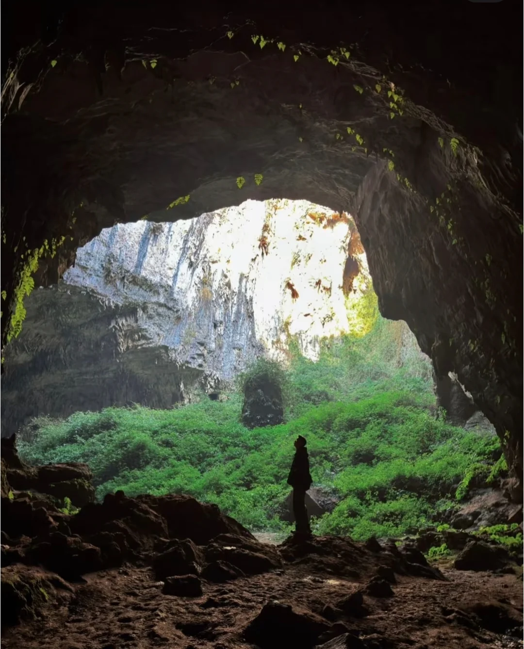 小众避暑圣地“安顺”终于被家人们发现了