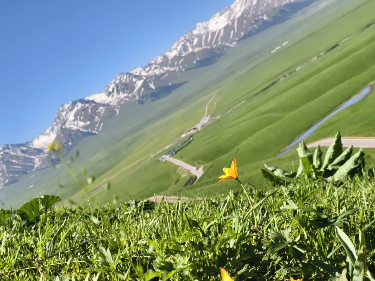 5月17日新疆那拉提，真的很治愈