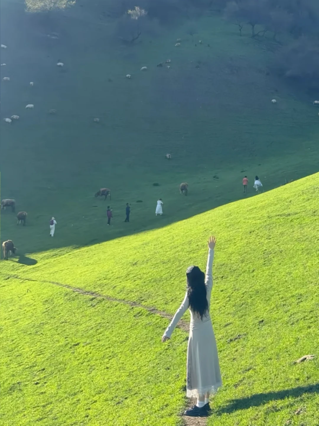 被《国家地理》评为中国最美的公路有多绝‼️