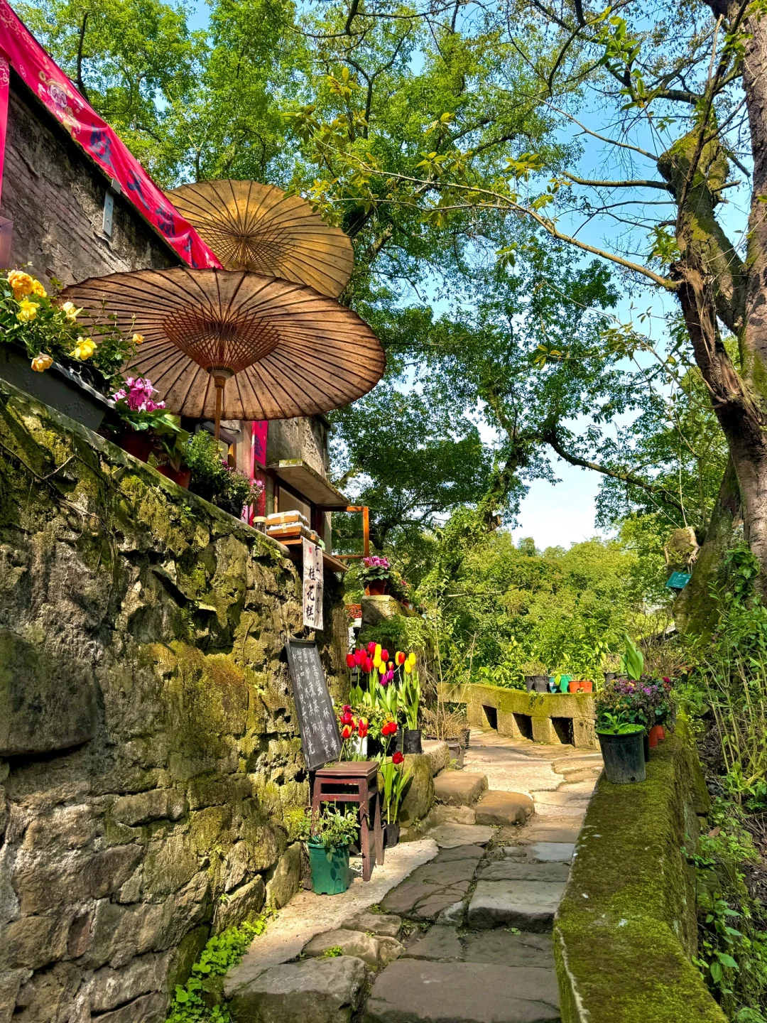 不是大理！！是重庆！！重庆！！治愈力+10000