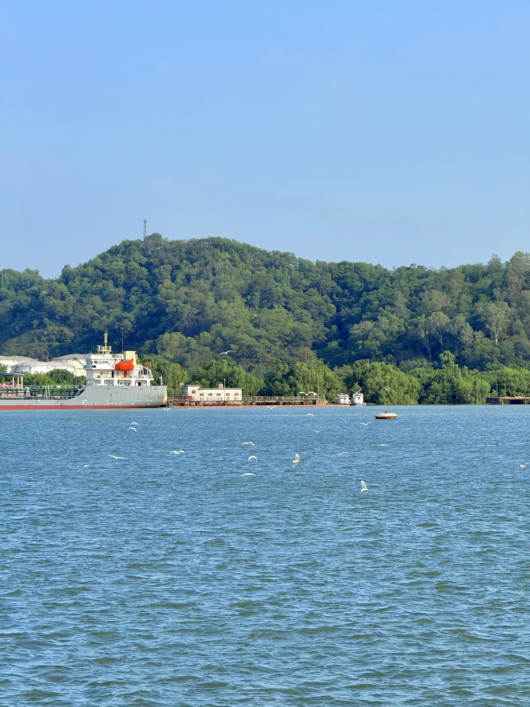 广州地铁直达……是我疲惫生活里的解药🌊
